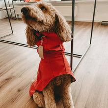 Lade das Bild in den Galerie-Viewer, Manuel Vol. 3