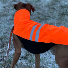 Lade das Bild in den Galerie-Viewer, Hachico Neon