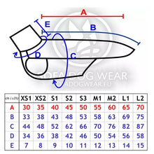Lade das Bild in den Galerie-Viewer, Hachico Neon