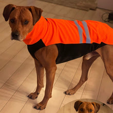 Lade das Bild in den Galerie-Viewer, Hachico Neon