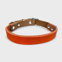 Lade das Bild in den Galerie-Viewer, Halsband "Twinni"