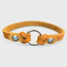 Lade das Bild in den Galerie-Viewer, Markenhalsband "Neo"