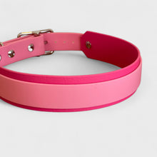 Lade das Bild in den Galerie-Viewer, Biothanehalsband "Arthos"