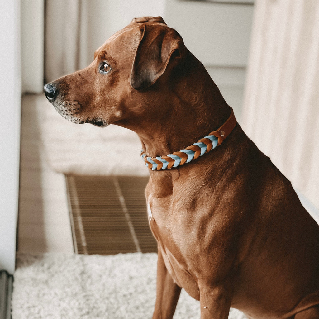 Fettlederhalsband "Elsa" - Cognac/Eisblau